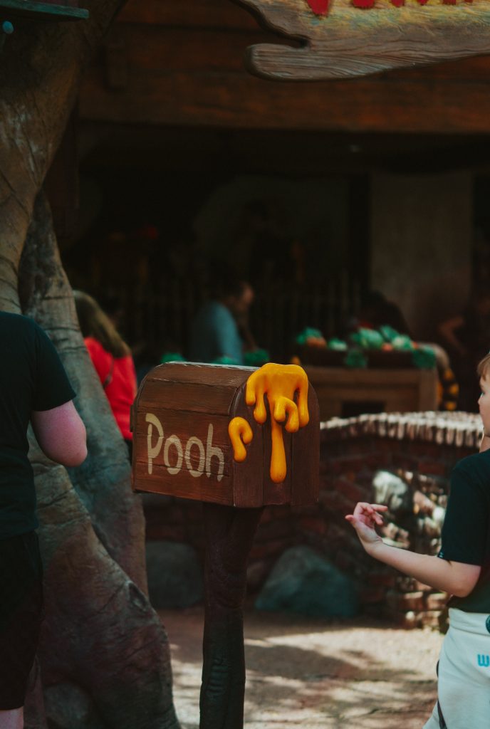 pooh ride at disney's magic kingdom